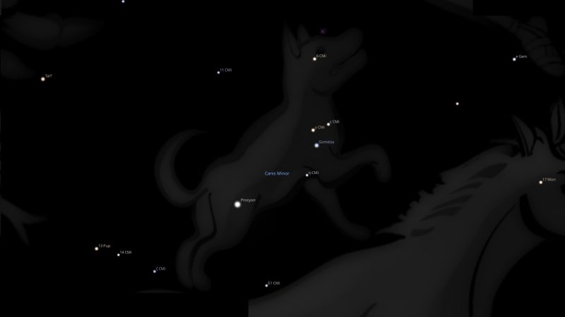 Fixed Star Procyon