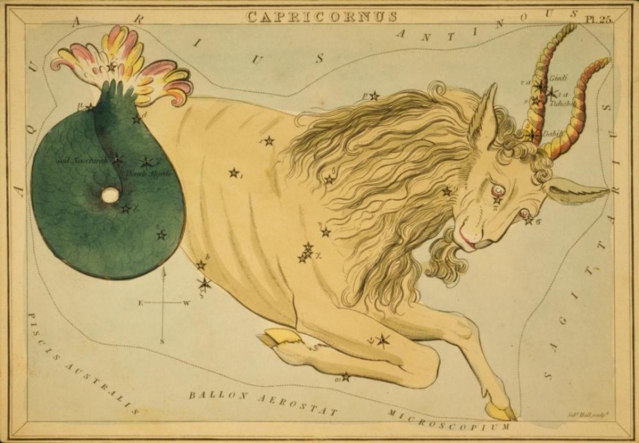 Capricornus Constellation