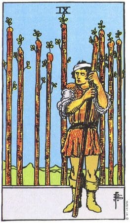  Taurus Daily Horoscope Tarot